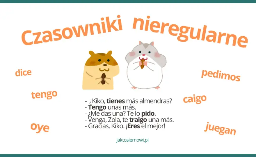 Odmiana czasownika dormir: jak opanować nieregularne formy?